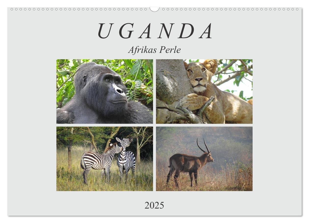 Cover: 9783435254019 | Afrikas Perle Uganda (Wandkalender 2025 DIN A2 quer), CALVENDO...