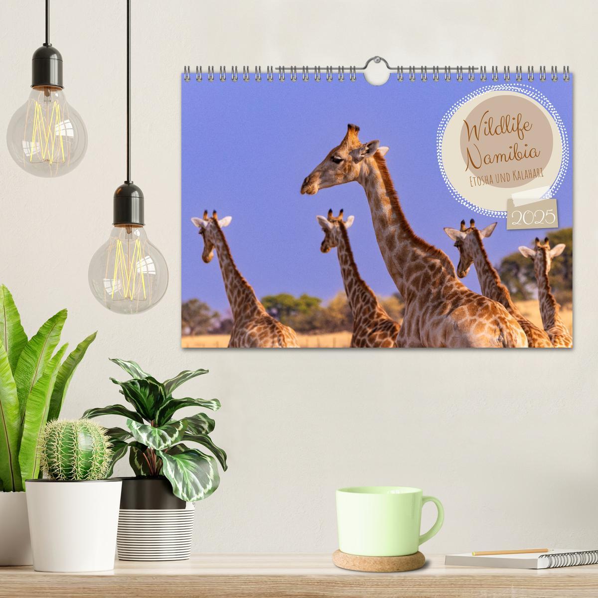 Bild: 9783383845468 | Wildlife Namibia - Etosha und Kalahari (Wandkalender 2025 DIN A4...