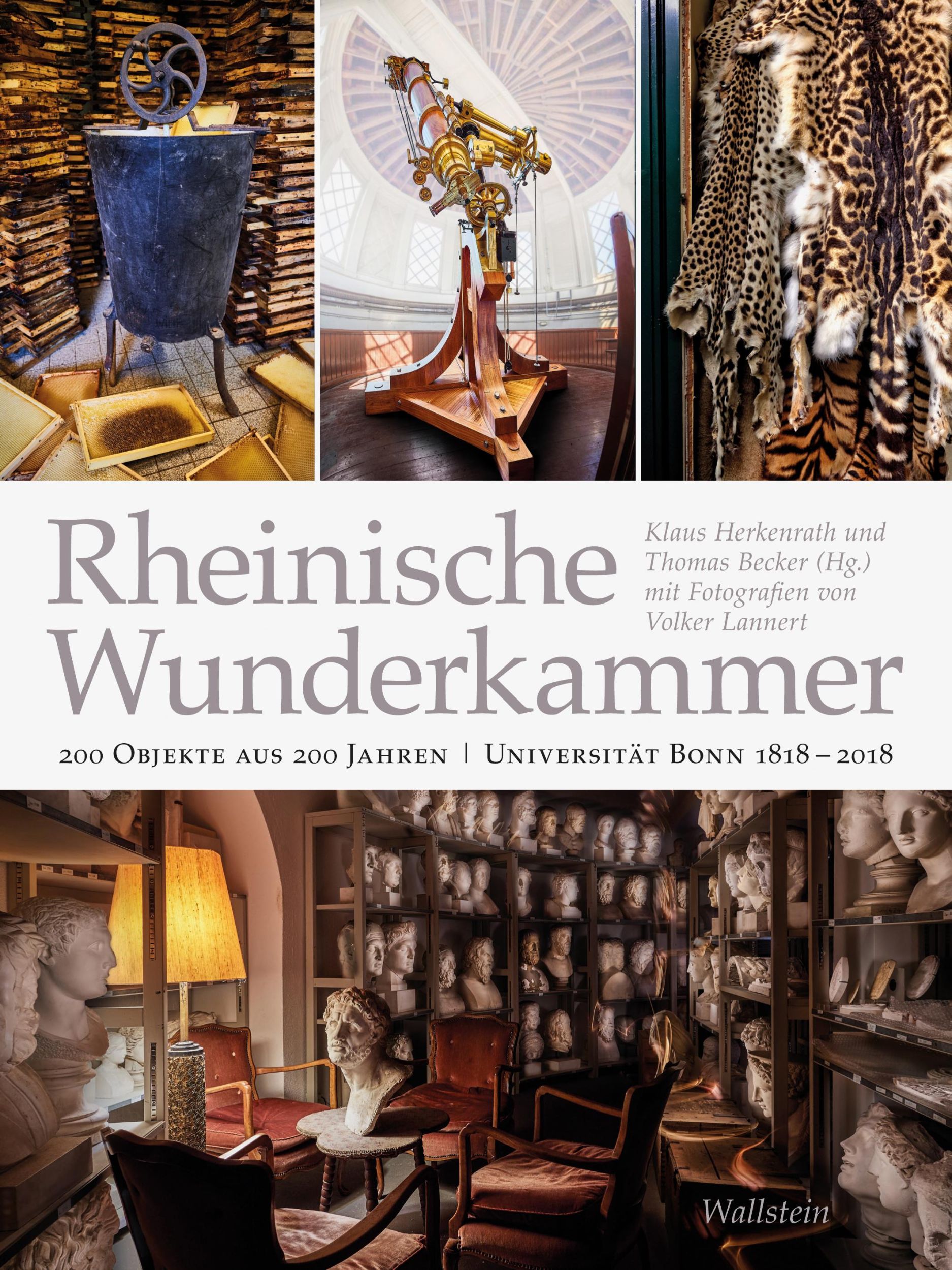 Cover: 9783835331396 | Rheinische Wunderkammer | Klaus Herkenrath | Taschenbuch | 438 S.