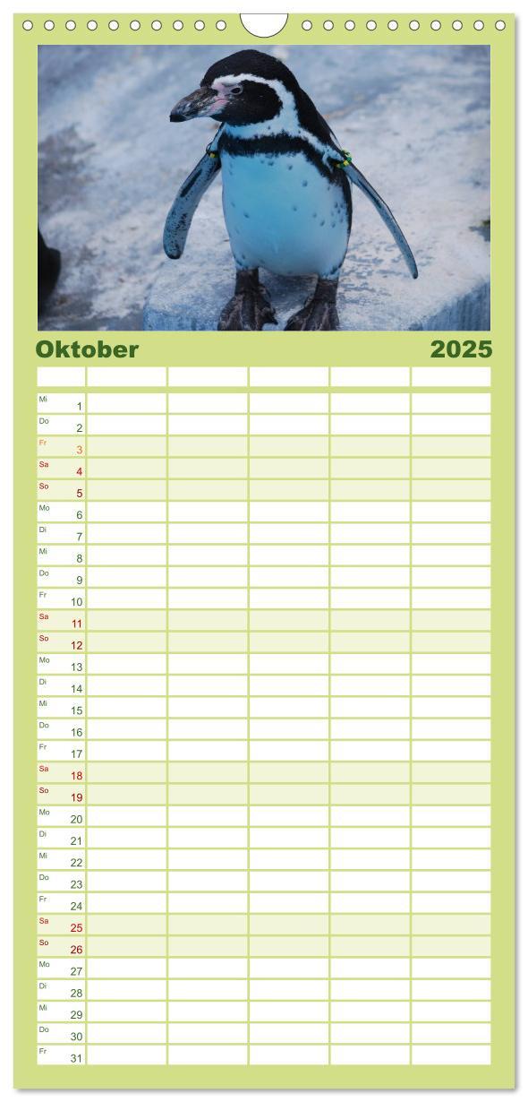 Bild: 9783457120293 | Familienplaner 2025 - Pinguine 2025 mit 5 Spalten (Wandkalender, 21...