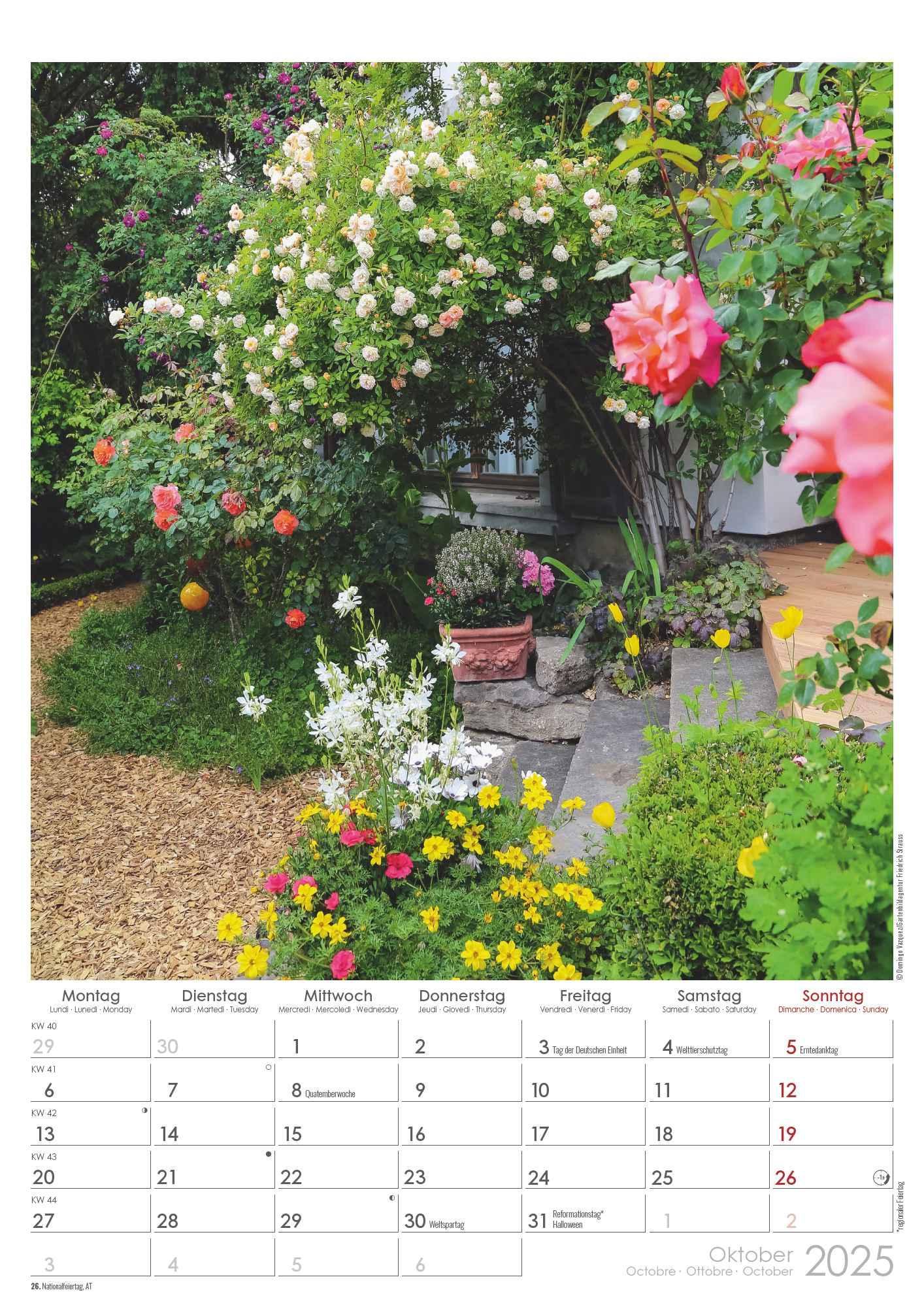 Bild: 4251732342036 | Landhaus 2025 - Bildkalender A3 (29,7x42 cm) - Country House - mit...