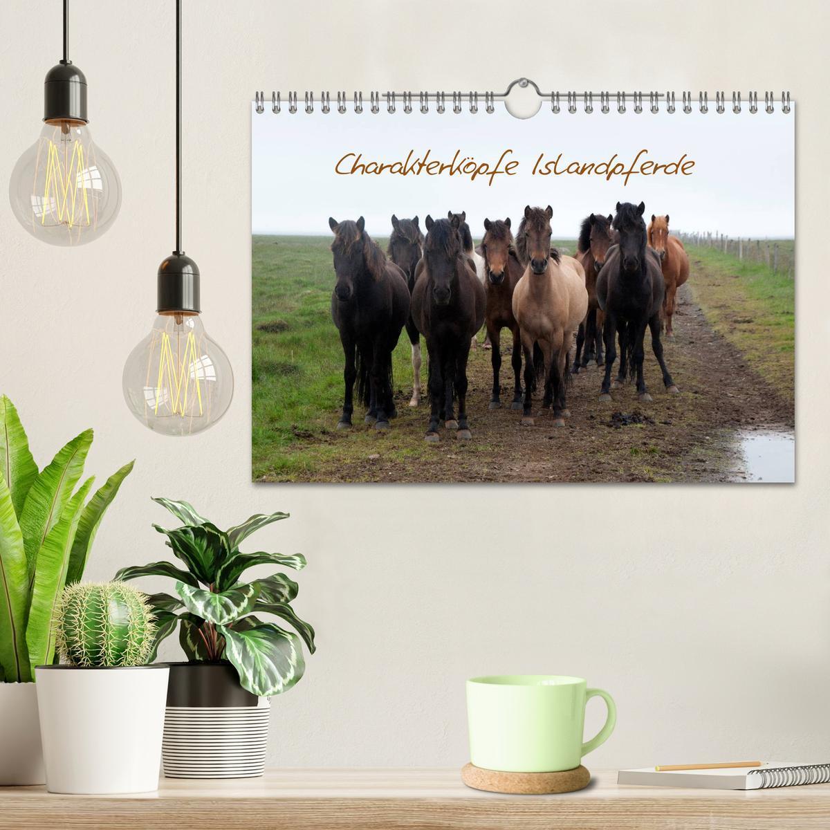 Bild: 9783435785032 | Charakterköpfe Islandpferde (Wandkalender 2025 DIN A4 quer),...