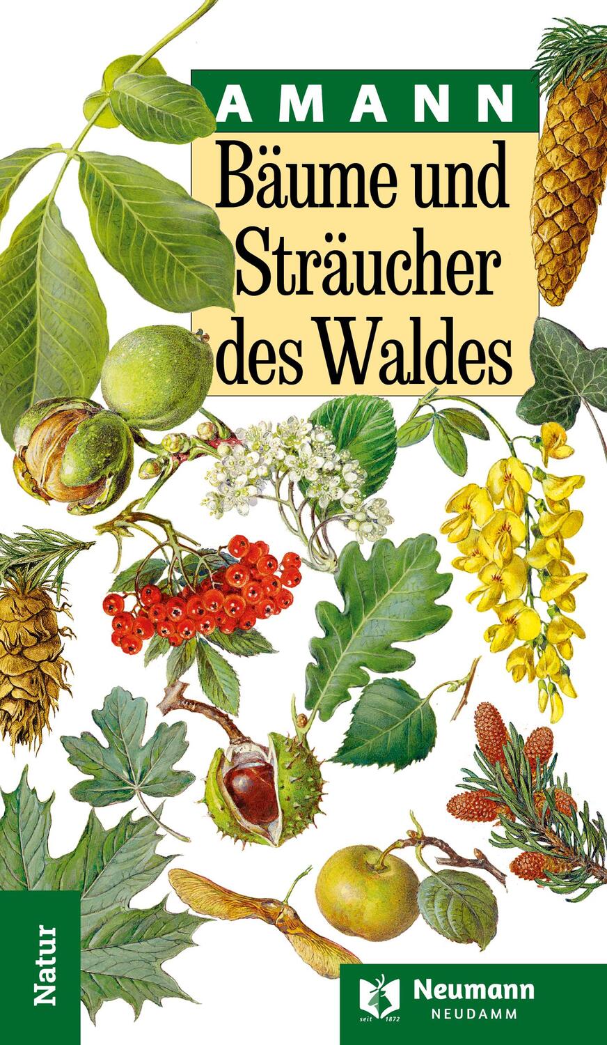 Cover: 9783788821029 | Bäume und Sträucher des Waldes | Gottfried Amann | Buch | 232 S.