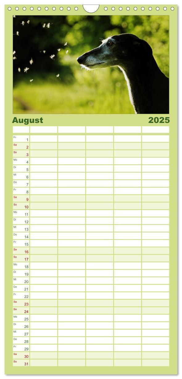 Bild: 9783457112526 | Familienplaner 2025 - Der Windhundekalender mit 5 Spalten...