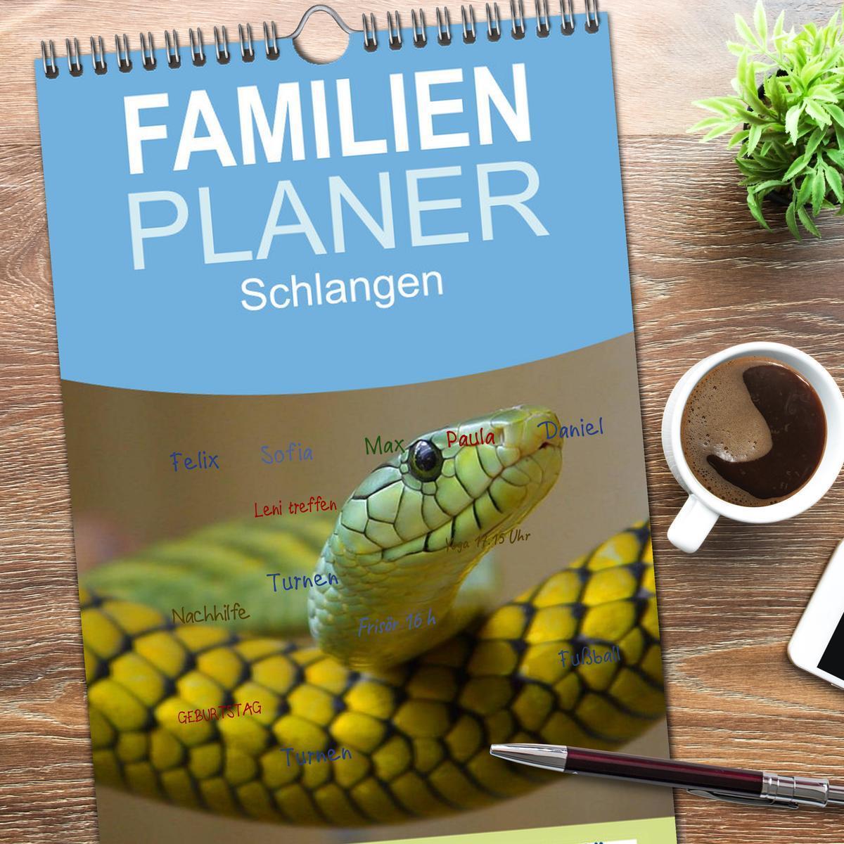 Bild: 9783457125281 | Familienplaner 2025 - Schlangen mit 5 Spalten (Wandkalender, 21 x...