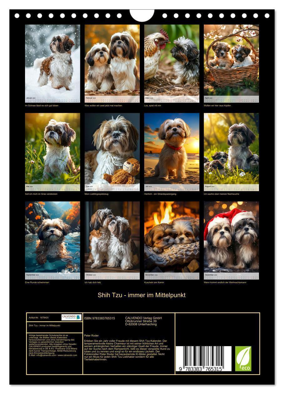 Bild: 9783383765315 | Shih Tzu - immer im Mittelpunkt (Wandkalender 2025 DIN A4 hoch),...