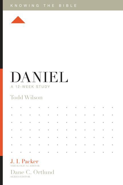 Cover: 9781433543425 | Daniel | A 12-Week Study | Todd Wilson | Taschenbuch | Englisch | 2015