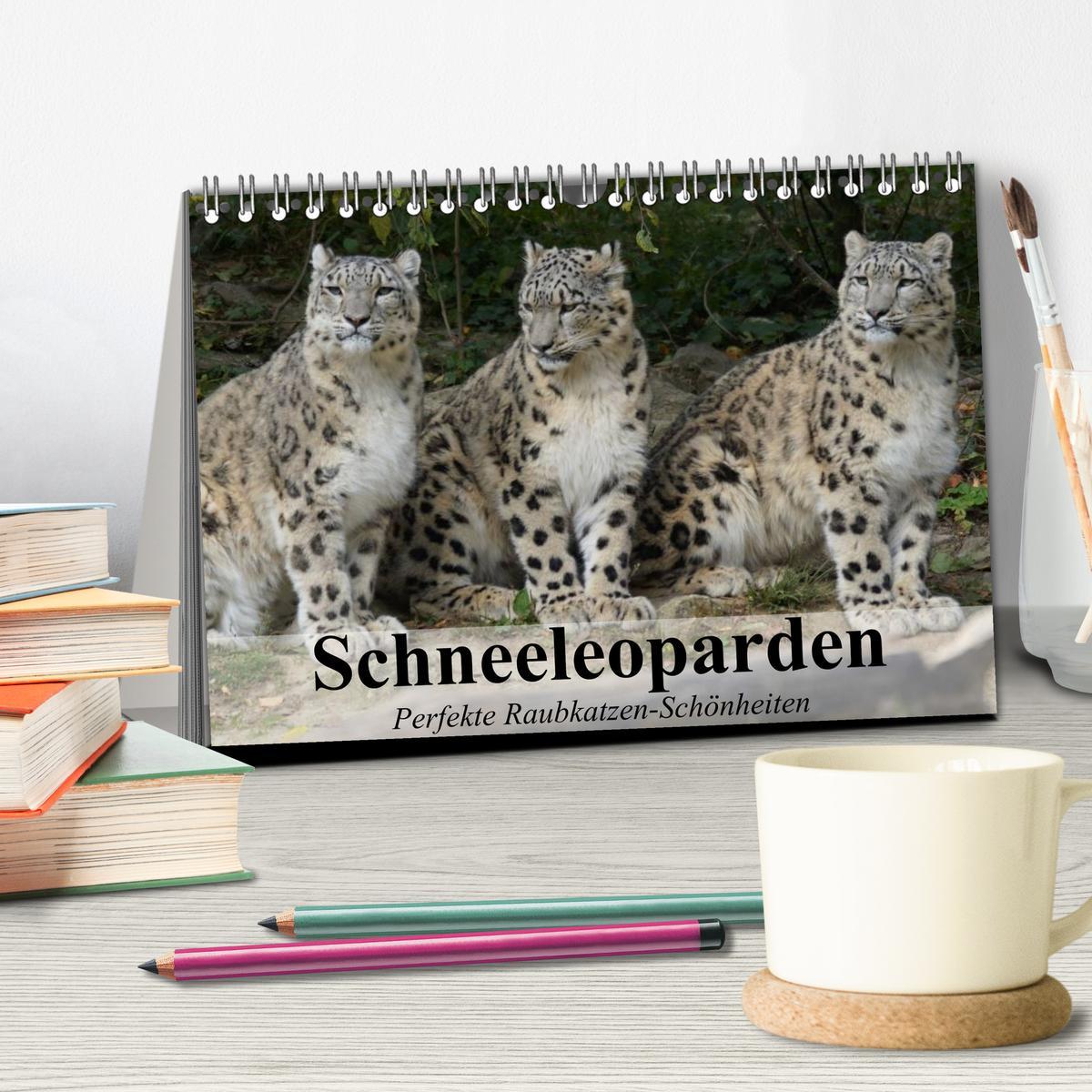 Bild: 9783435520015 | Schneeleoparden. Perfekte Raubkatzen-Schönheiten (Tischkalender...