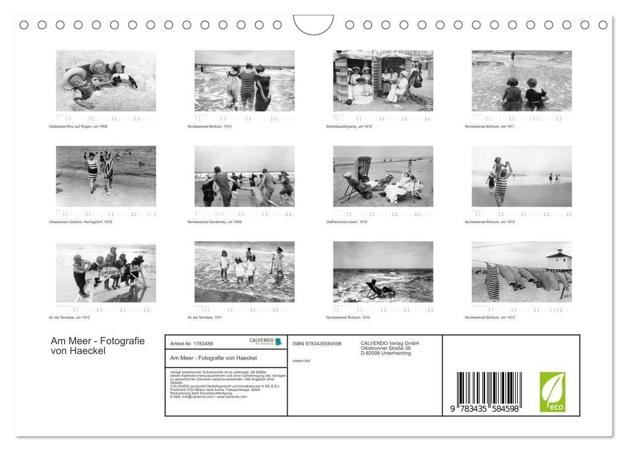 Bild: 9783435584598 | Am Meer - Fotografie von Haeckel (Wandkalender 2025 DIN A4 quer),...