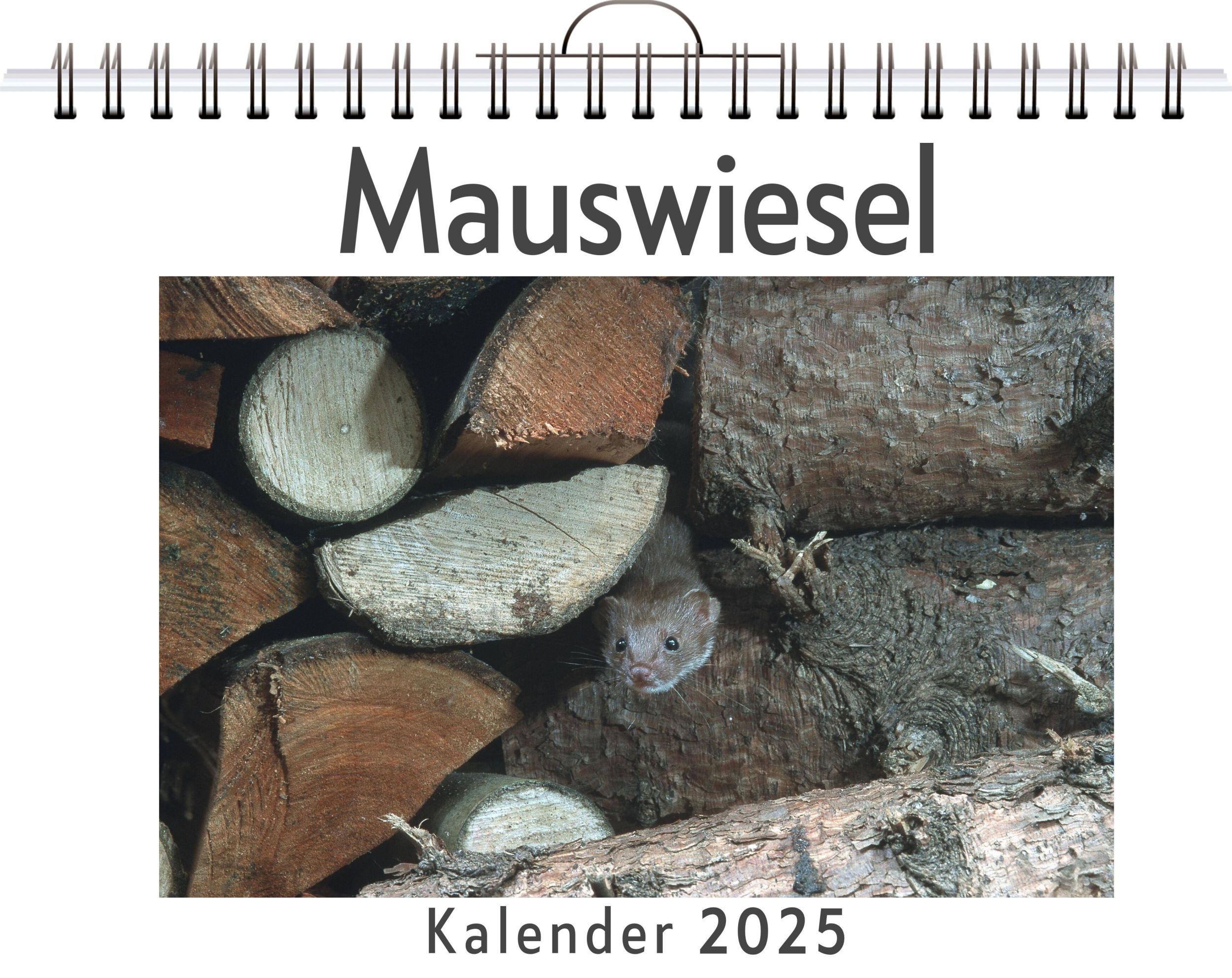 Cover: 9783759120588 | Mauswiesel | Sarah Hartmann | Kalender | Kalender | 14 S. | Deutsch