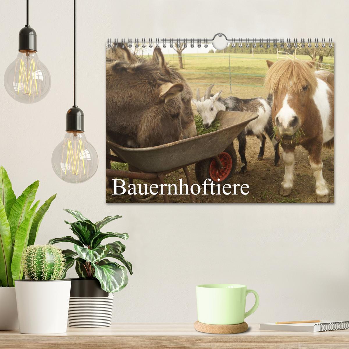 Bild: 9783435663682 | Bauernhoftiere (Wandkalender 2025 DIN A4 quer), CALVENDO...