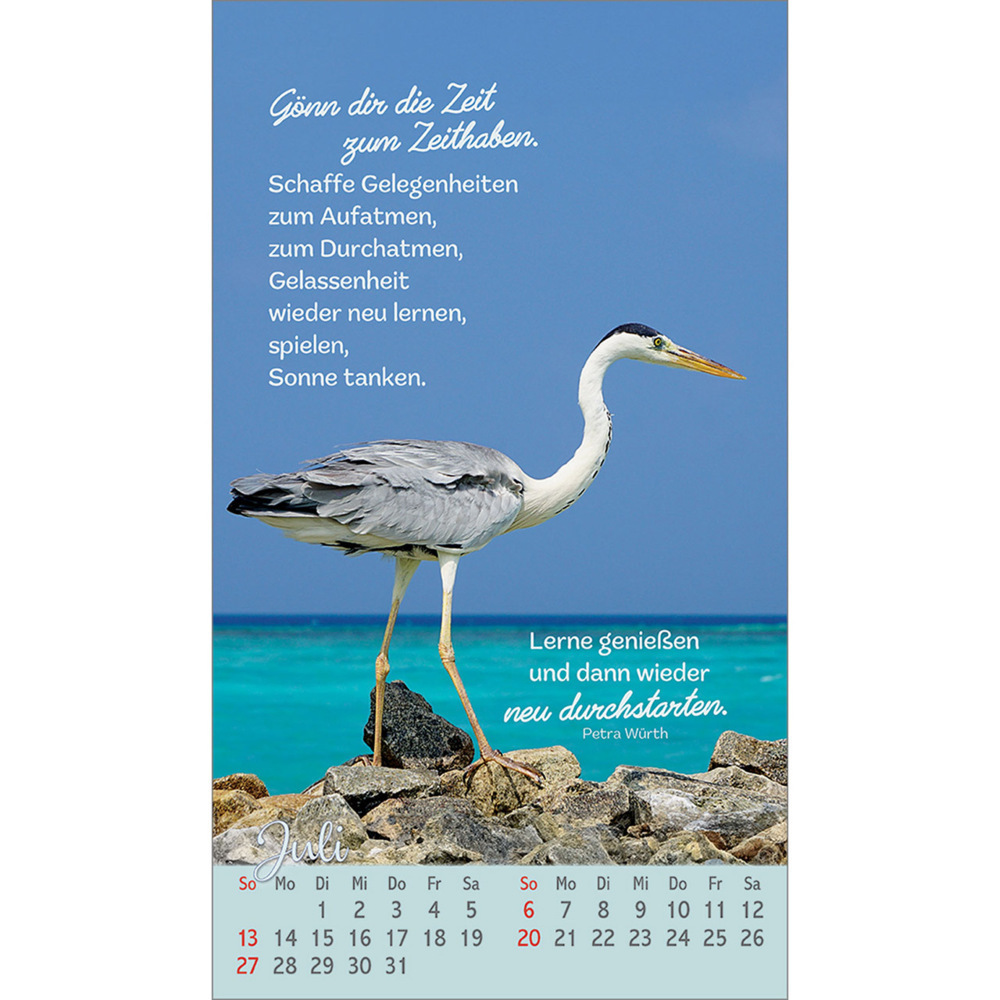 Bild: 9783754879757 | Beflügelt und geborgen | Vögel 2025 | Kalender | 13 S. | Deutsch