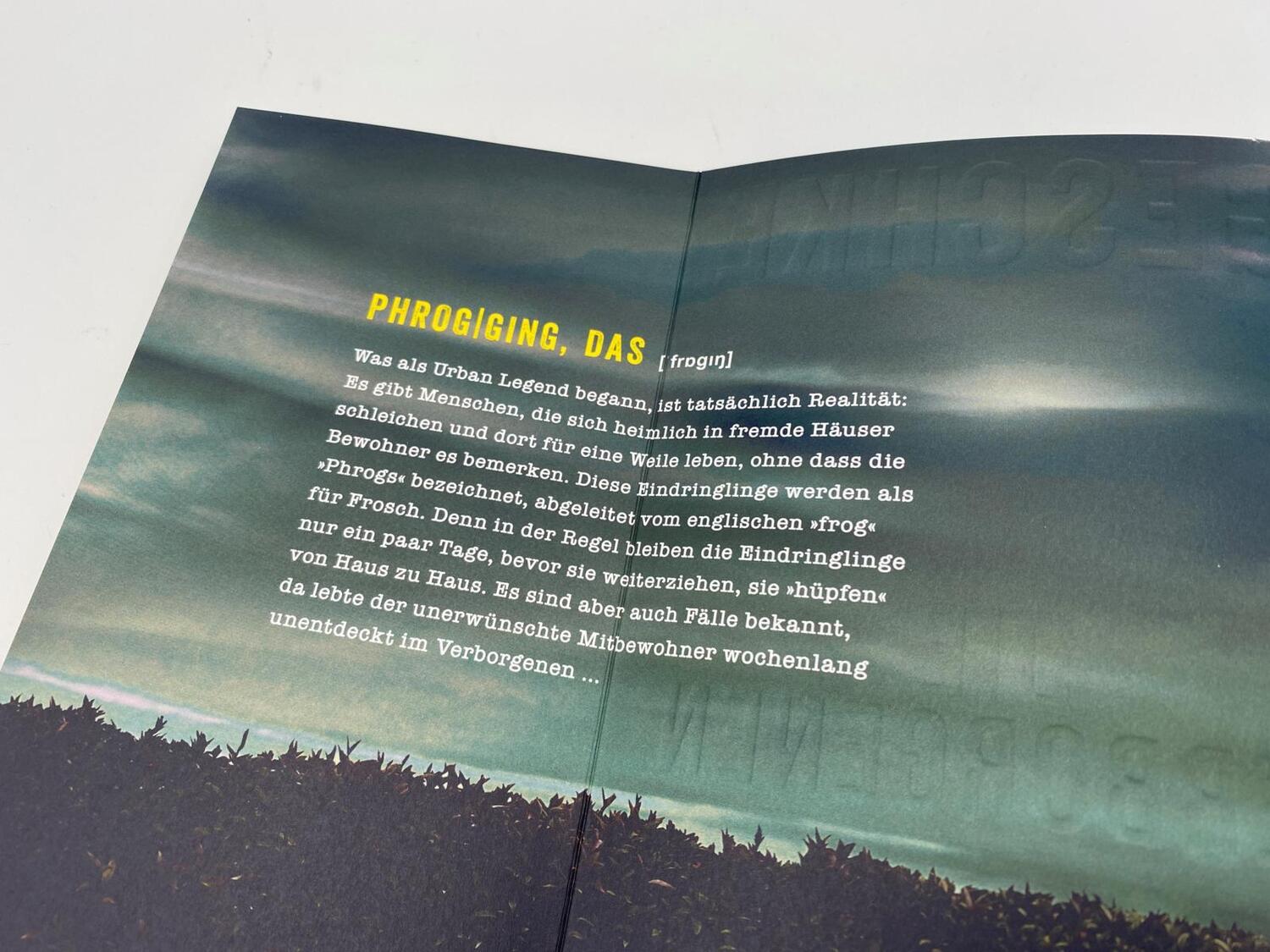 Bild: 9783492064798 | Die Verborgenen | Linus Geschke | Taschenbuch | 368 S. | Deutsch