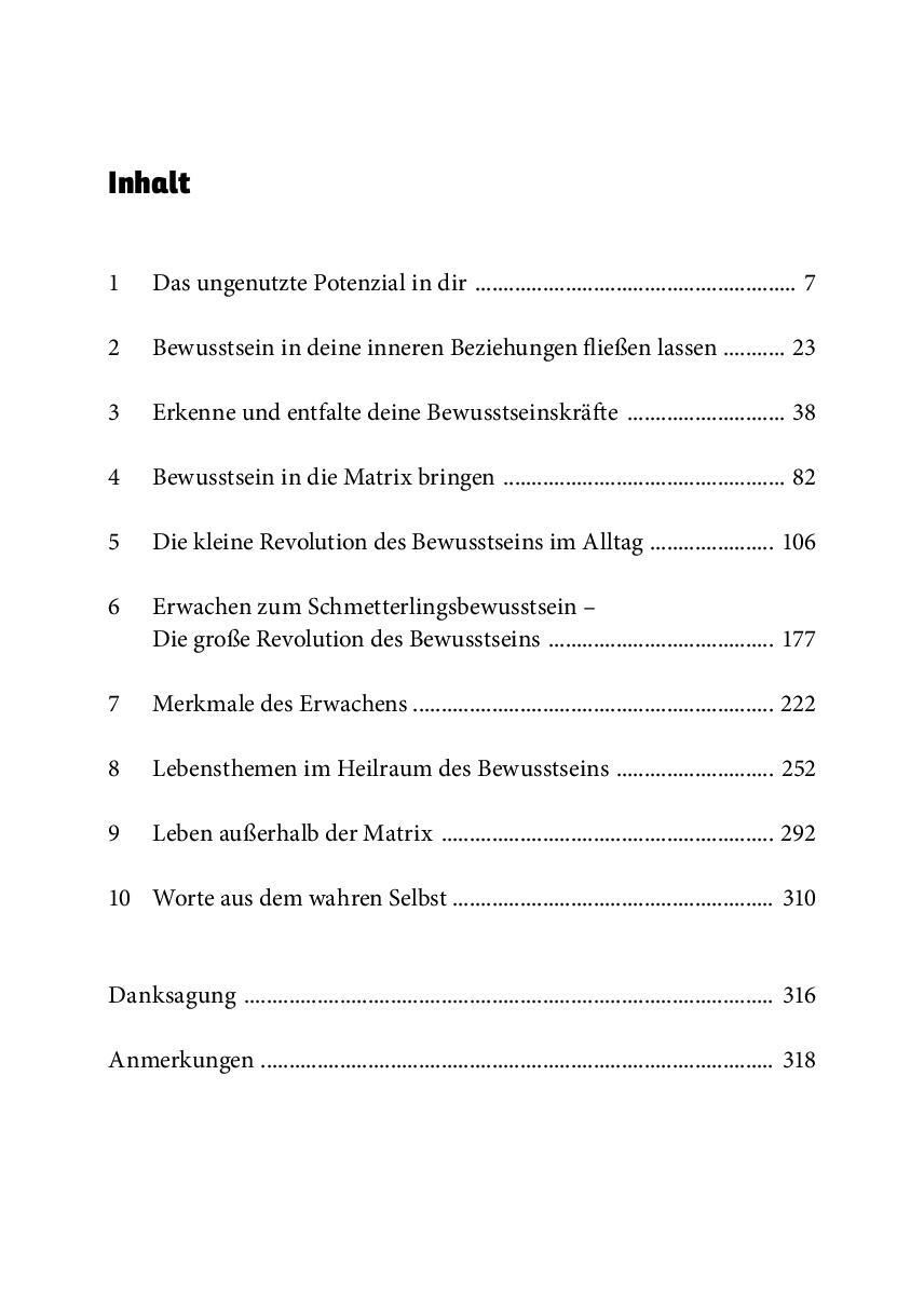 Bild: 9783866165366 | Die Revolution des Bewusstseins | Daniel Hess | Taschenbuch | 320 S.