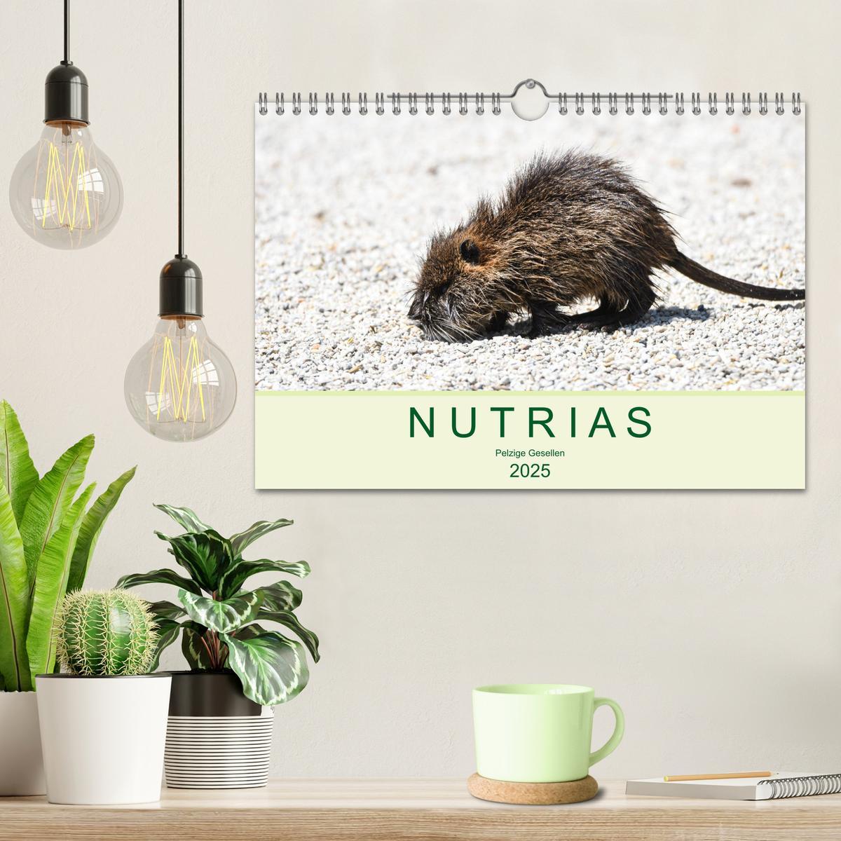 Bild: 9783435117987 | NUTRIAS - Pelzige Gesellen (Wandkalender 2025 DIN A4 quer),...