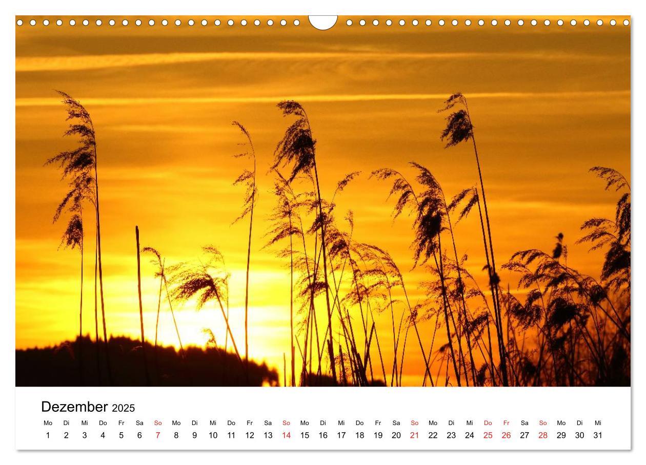 Bild: 9783435484997 | Hopfensee - Riviera des Allgäus (Wandkalender 2025 DIN A3 quer),...