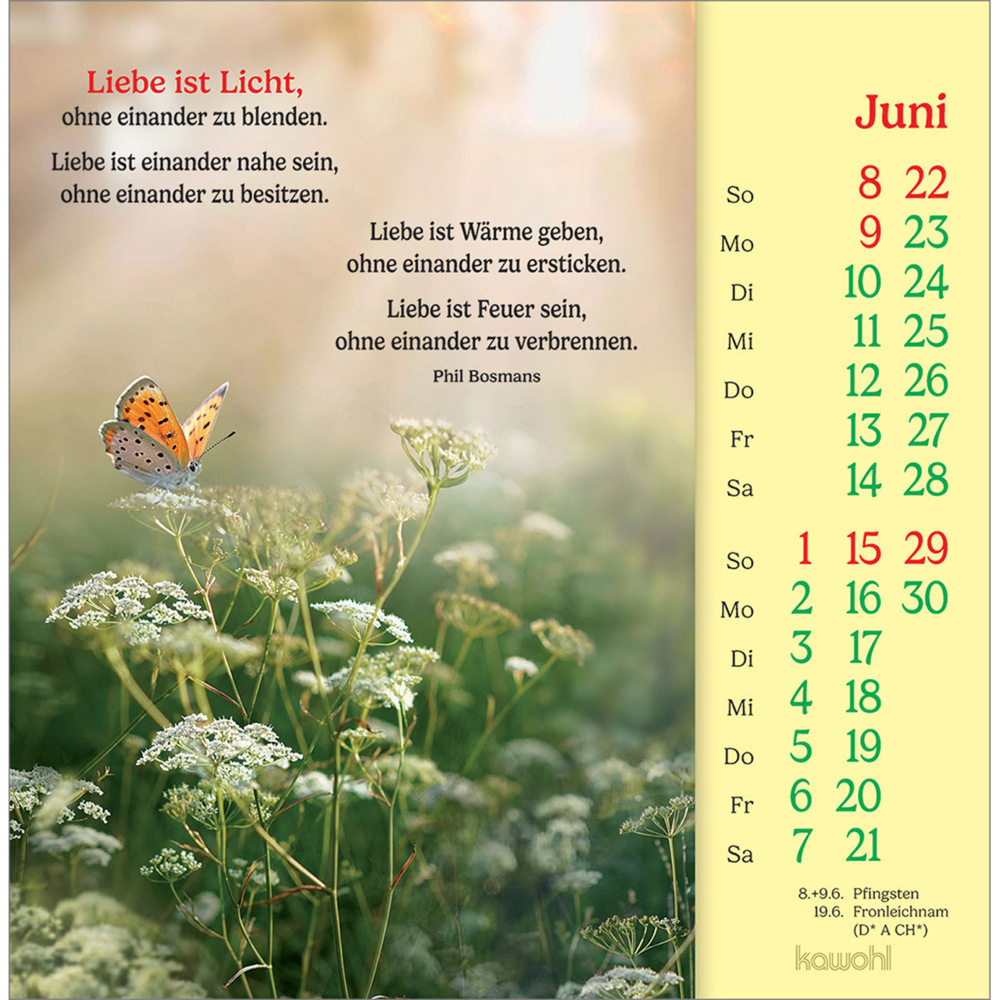 Bild: 9783754838051 | Phil Bosmans Postkartenkalender 2025 | Kalender | 13 S. | Deutsch