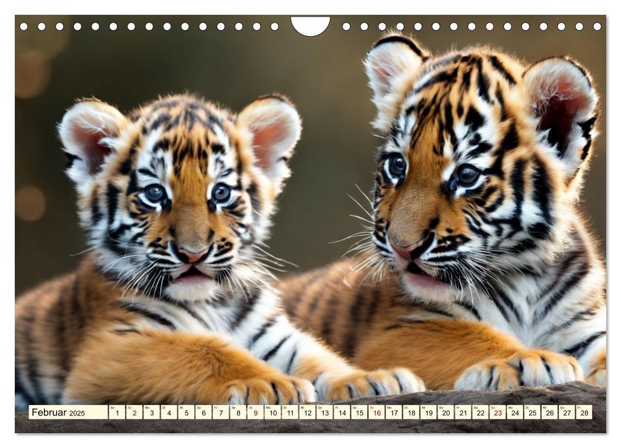 Bild: 9783383814105 | Tiger ganz nah (Wandkalender 2025 DIN A4 quer), CALVENDO...