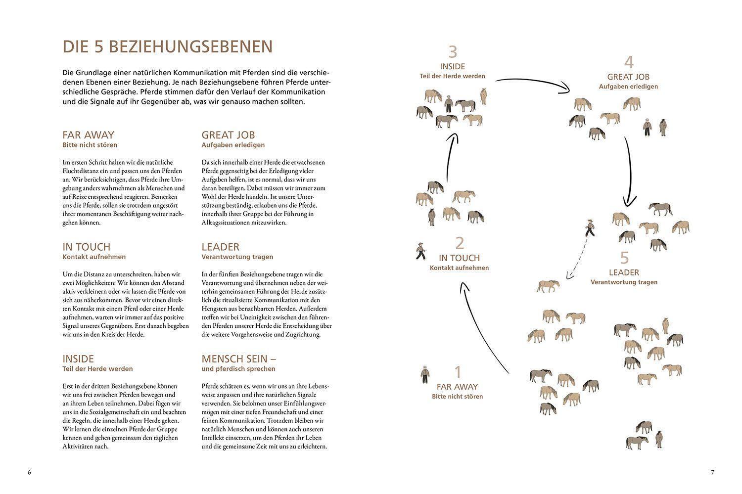 Bild: 9783440172940 | Im Gespräch mit wilden Pferden | Marc Lubetzki | Buch | 176 S. | 2022