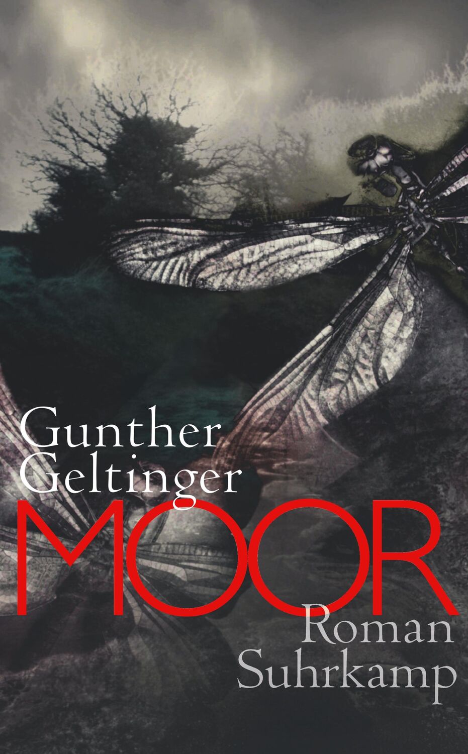 Cover: 9783518465622 | Moor | Gunther Geltinger | Taschenbuch | 440 S. | Deutsch | 2014