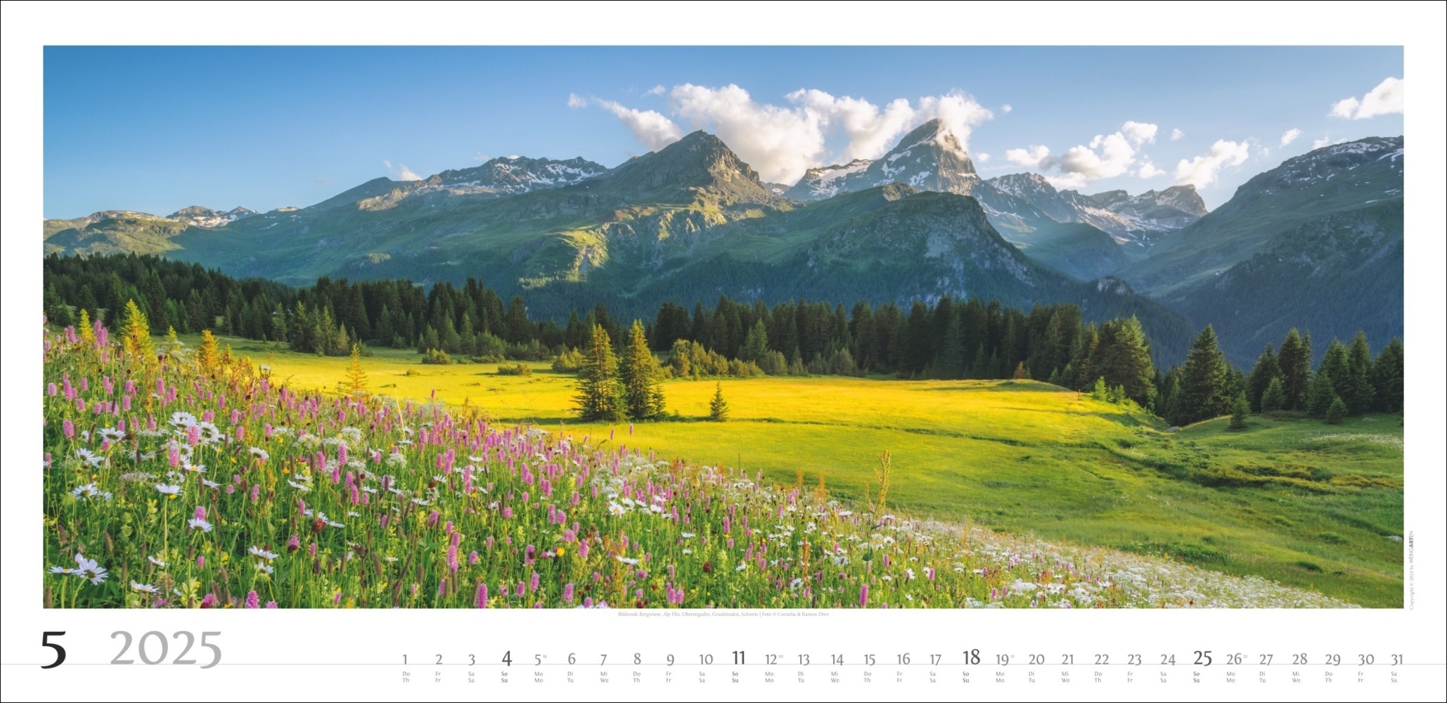 Bild: 9783839900215 | Alpenpanorama Kalender 2025 | Cornelia Dörr (u. a.) | Kalender | 14 S.