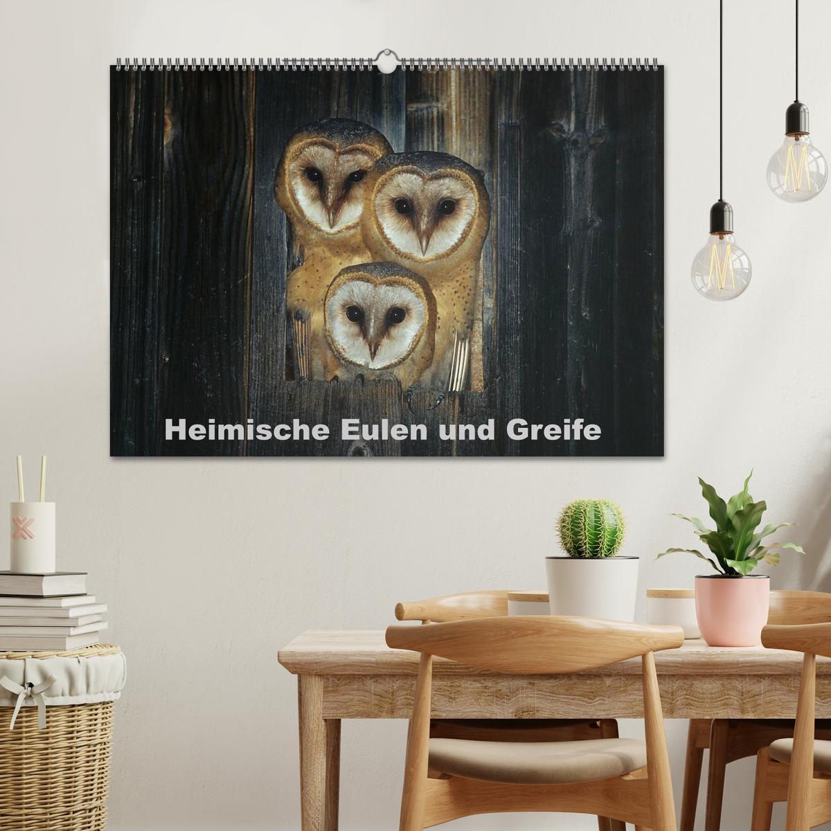 Bild: 9783435719105 | Heimische Eulen und Greife (Wandkalender 2025 DIN A2 quer),...