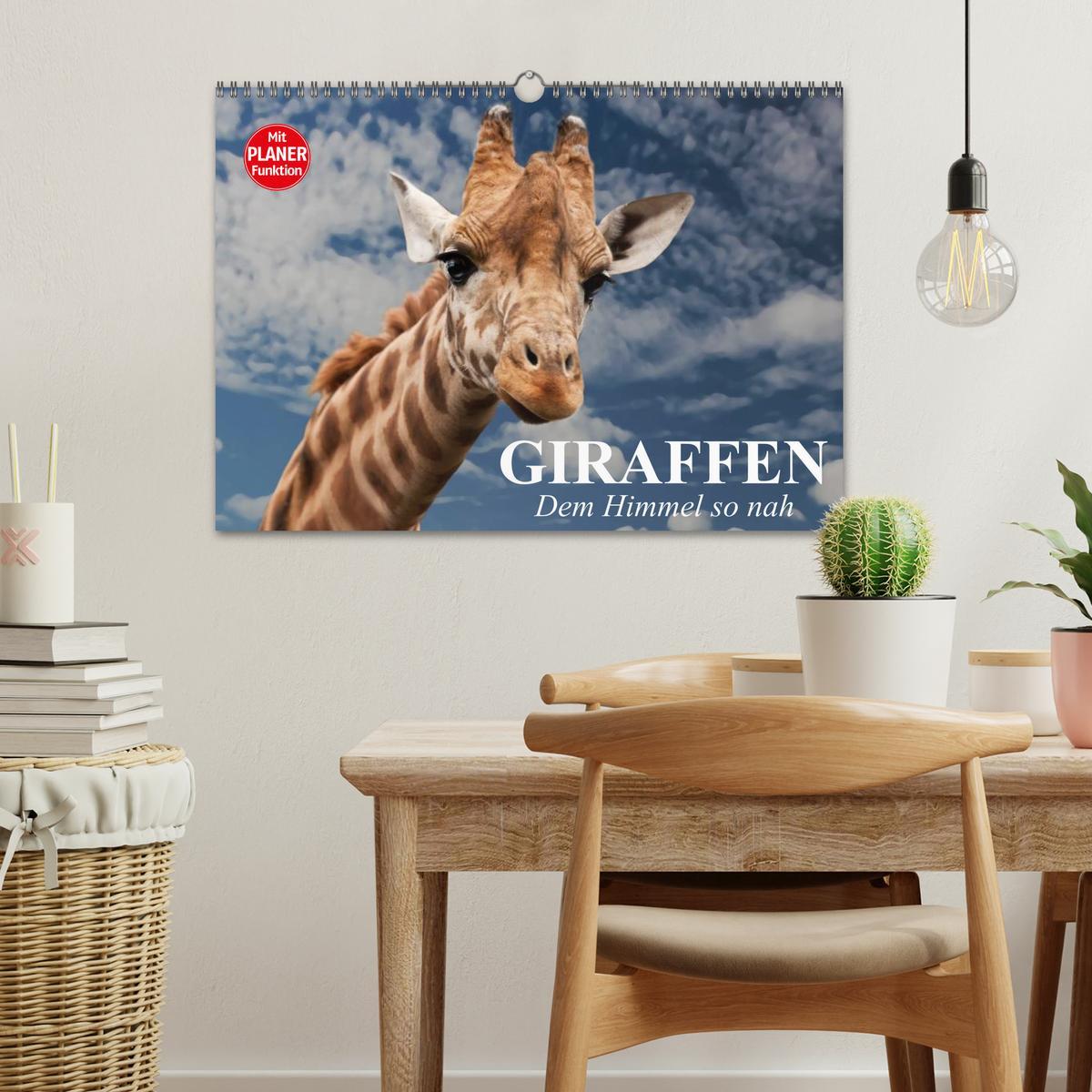 Bild: 9783435534968 | Giraffen. Dem Himmel so nah (Wandkalender 2025 DIN A3 quer),...