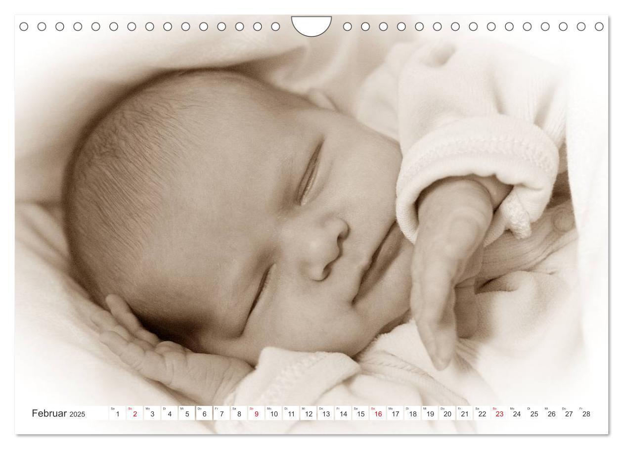 Bild: 9783435707362 | Babys - Willkommen im Leben (Wandkalender 2025 DIN A4 quer),...