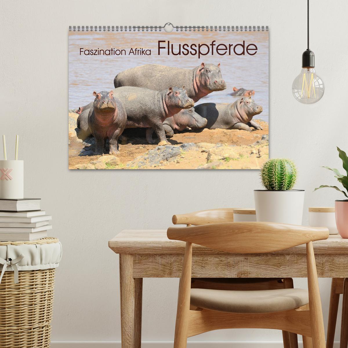 Bild: 9783435229482 | Faszination Afrika: Flusspferde (Wandkalender 2025 DIN A3 quer),...