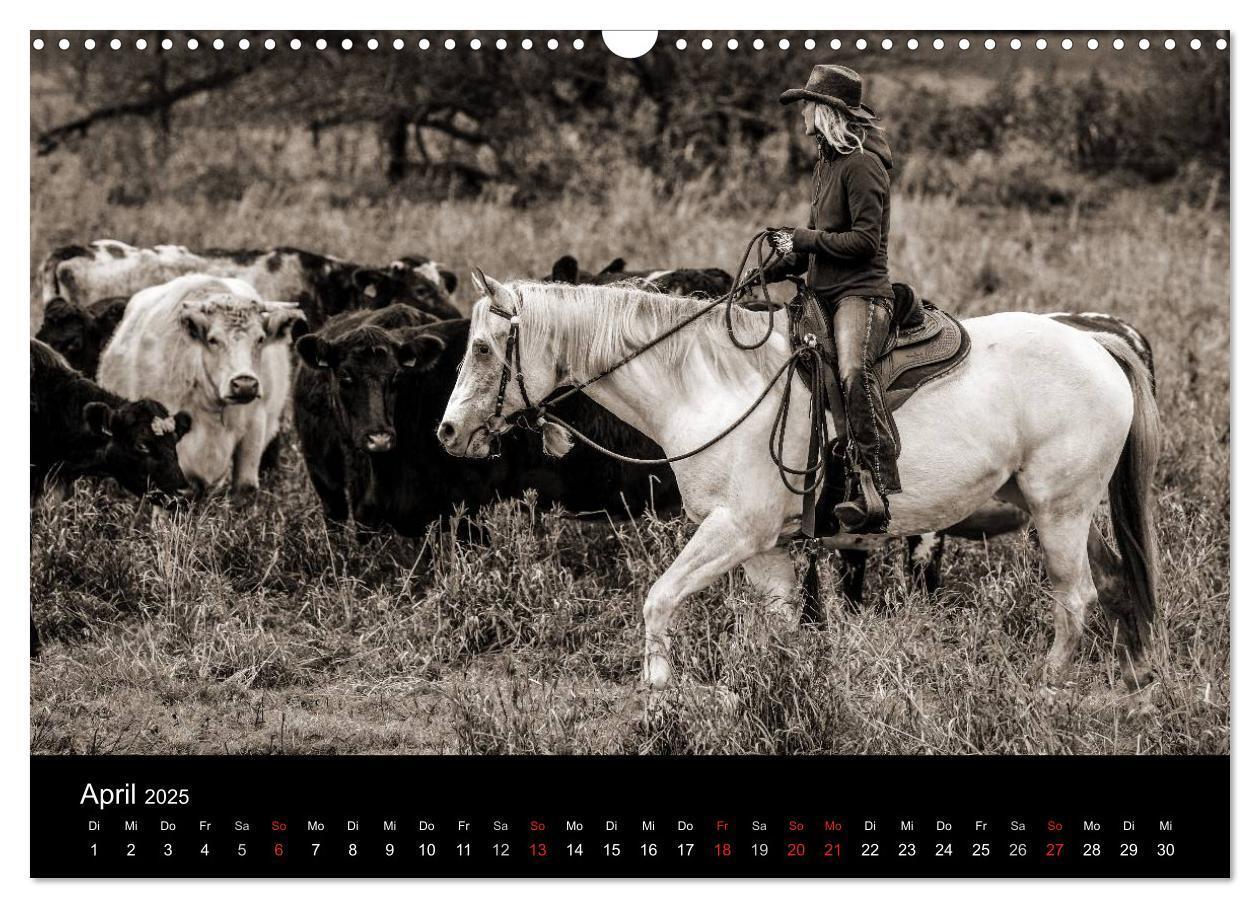 Bild: 9783435569656 | Westernreiten (Wandkalender 2025 DIN A3 quer), CALVENDO Monatskalender