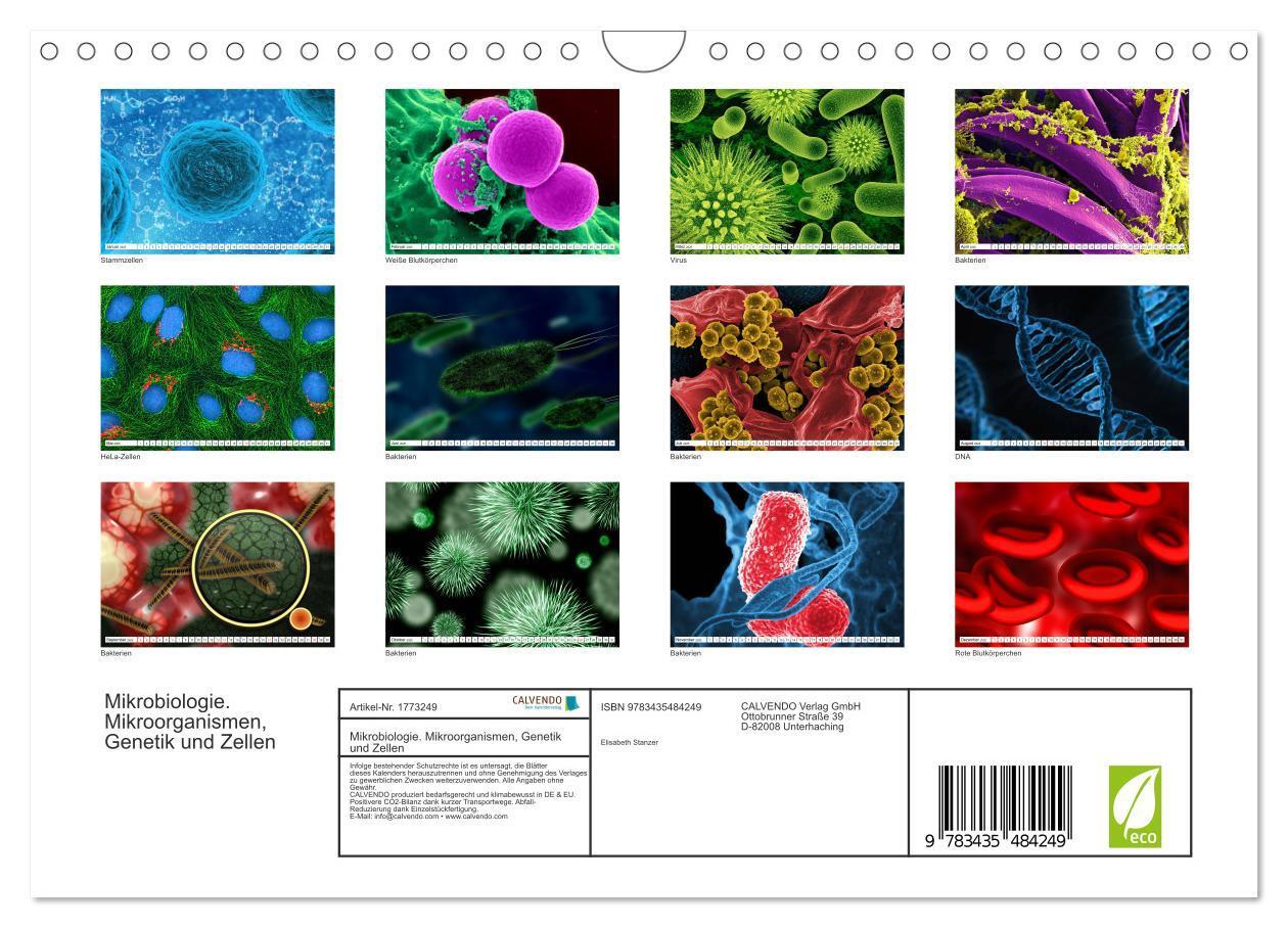 Bild: 9783435484249 | Mikrobiologie. Mikroorganismen, Genetik und Zellen (Wandkalender...