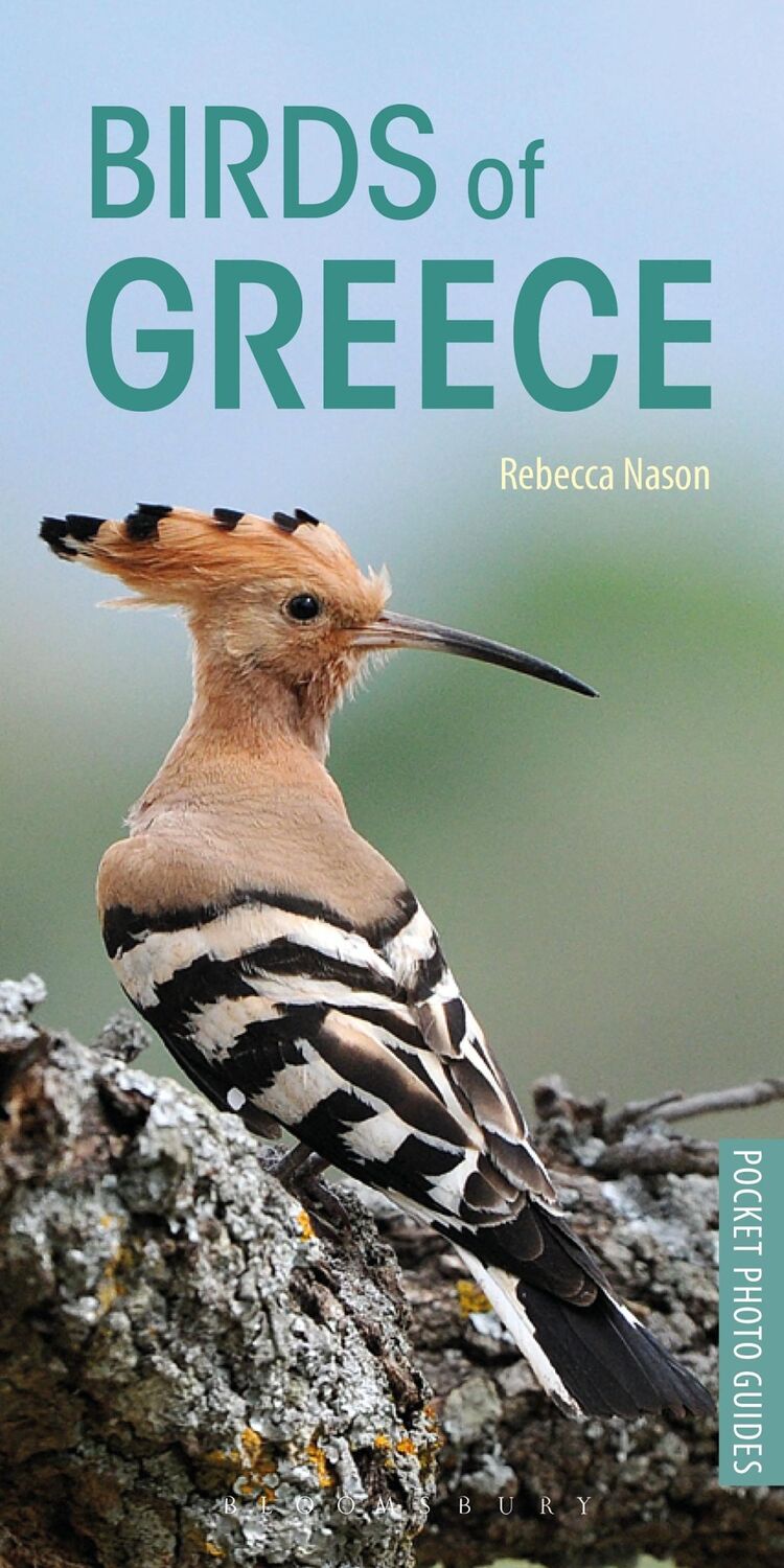 Autor: 9781472949035 | Birds of Greece | Rebecca Nason | Taschenbuch | Englisch | 2020