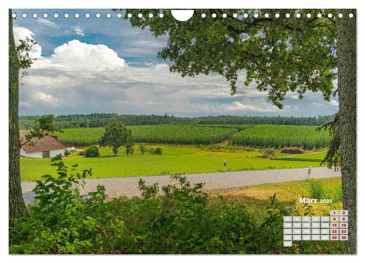 Bild: 9783435212675 | Hopfenland Holledau (Wandkalender 2025 DIN A4 quer), CALVENDO...