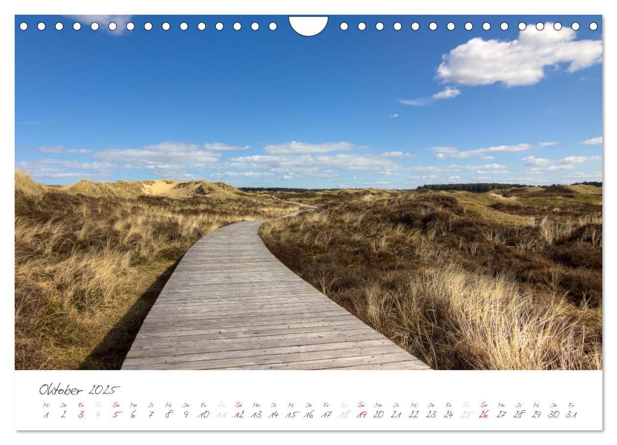 Bild: 9783435601738 | Amrum - Eine farbenfrohe Insellandschaft (Wandkalender 2025 DIN A4...