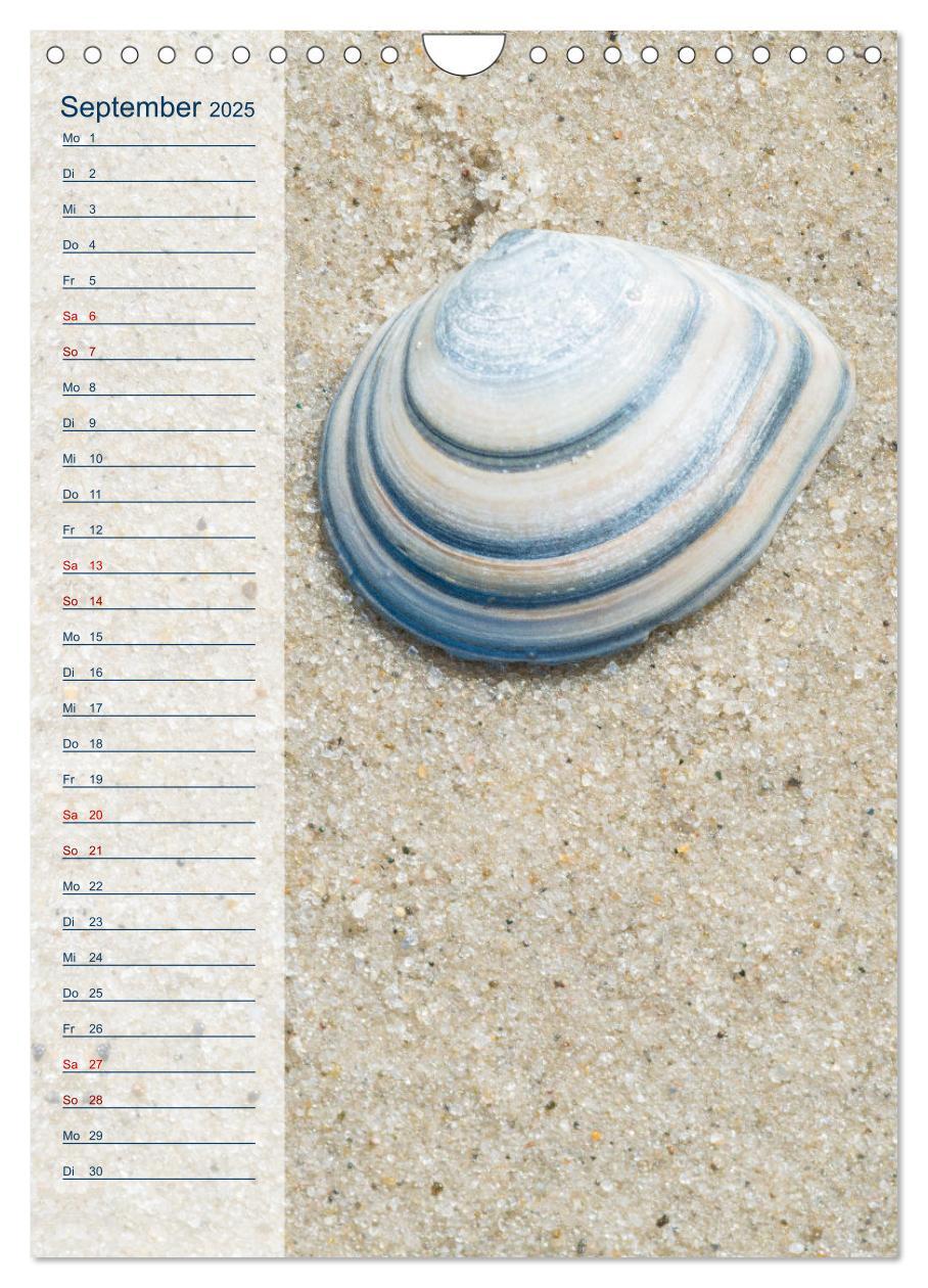 Bild: 9783435927326 | Maritim - Geburtstagskalender (Wandkalender 2025 DIN A4 hoch),...