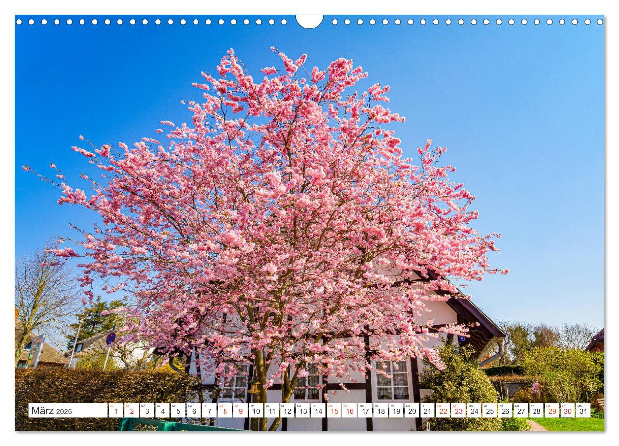 Bild: 9783435231881 | Wustrow Impressionen (Wandkalender 2025 DIN A3 quer), CALVENDO...