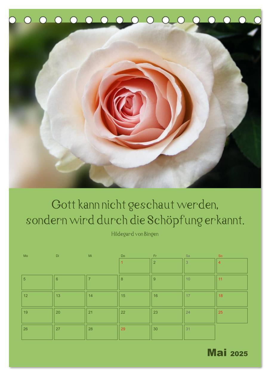 Bild: 9783457059135 | Erkenntnis und Weisheit - Hildegard von Bingen (Tischkalender 2025...