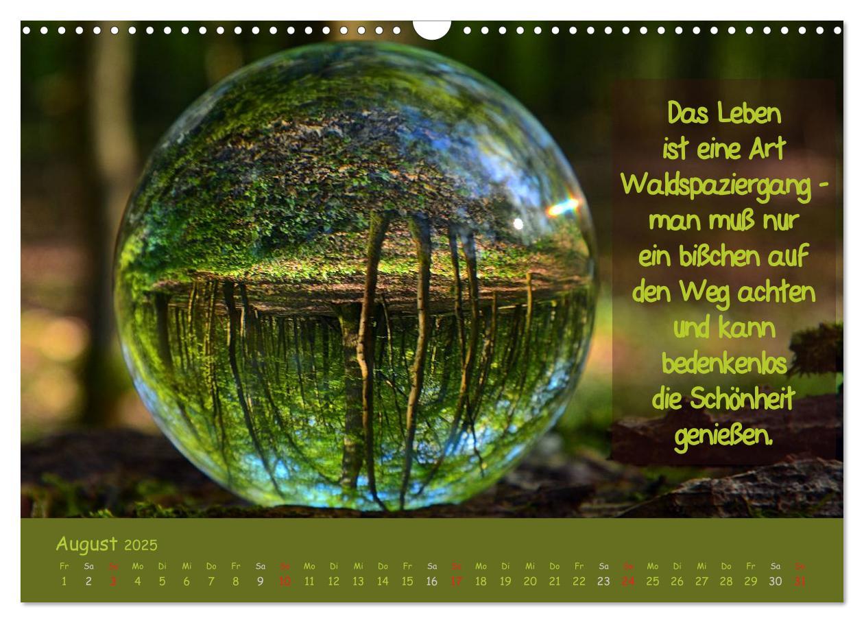 Bild: 9783435486960 | Wunderbare Waldkugeln (Wandkalender 2025 DIN A3 quer), CALVENDO...