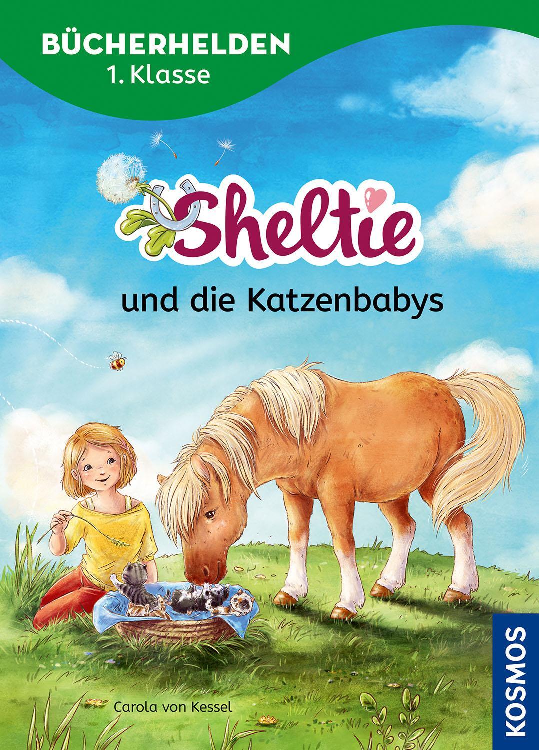 Cover: 9783440178317 | Sheltie, Bücherhelden 1. Klasse, Sheltie und die Katzenbabys | Kessel