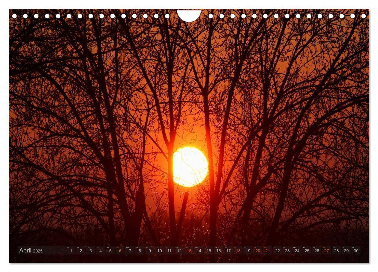 Bild: 9783435750887 | Zauberhafte Abendstimmung (Wandkalender 2025 DIN A4 quer), CALVENDO...