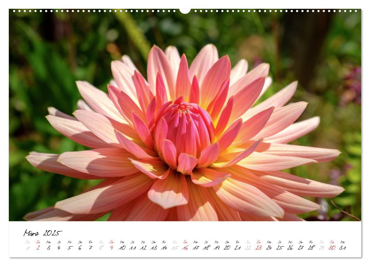 Bild: 9783435561513 | Madeira - ewiger Frühling (Wandkalender 2025 DIN A2 quer), CALVENDO...