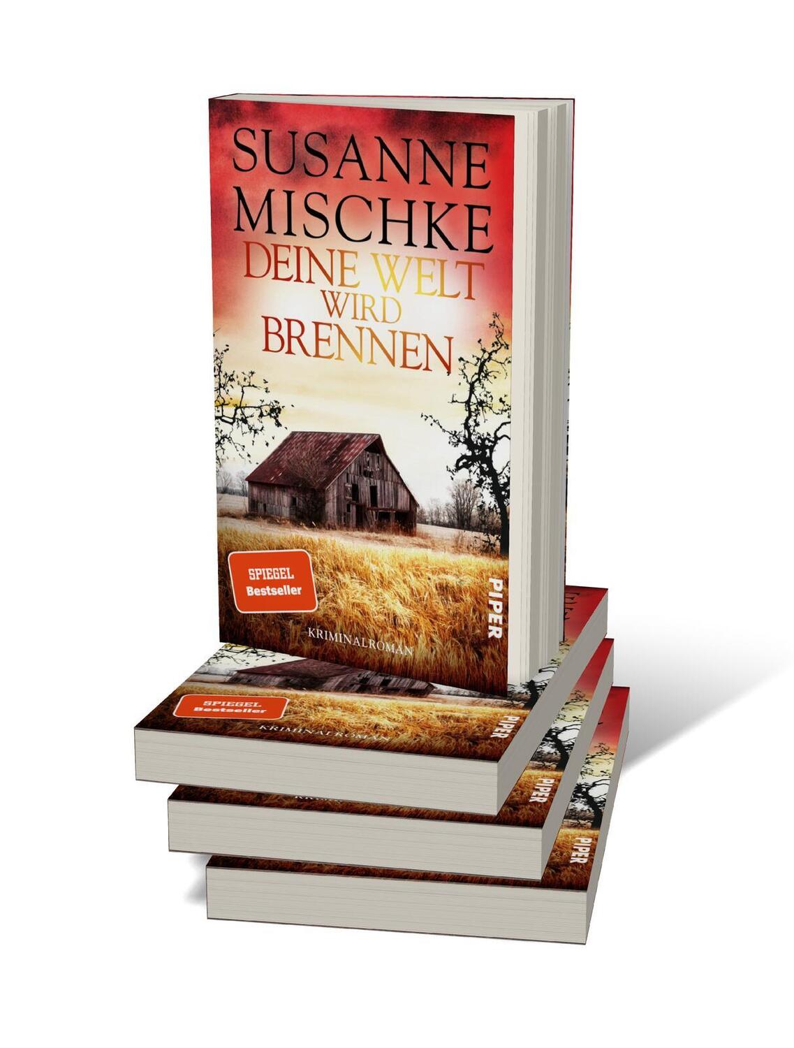 Bild: 9783492063739 | Deine Welt wird brennen | Susanne Mischke | Taschenbuch | 304 S.