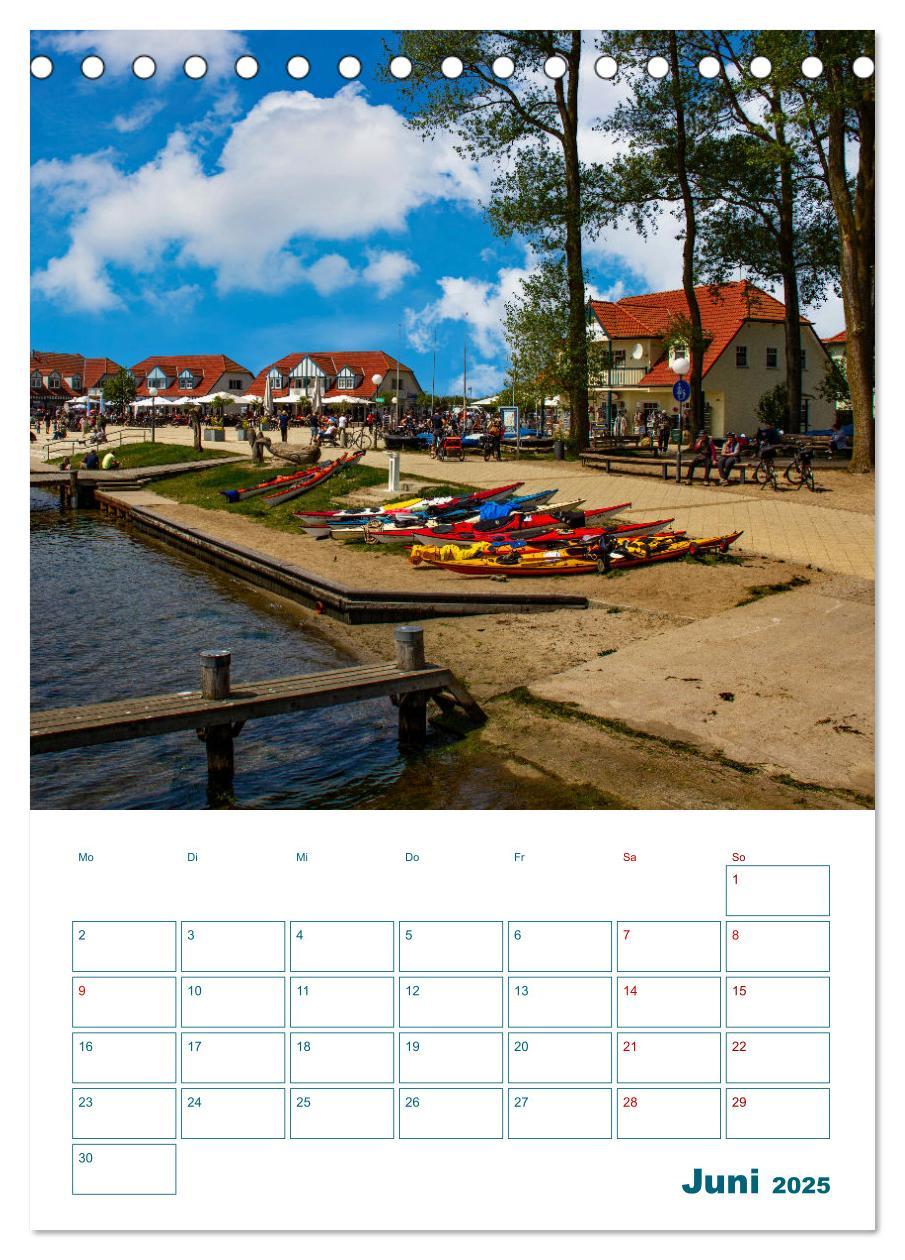 Bild: 9783383807305 | Ostseebad Rerik - Terminplaner (Tischkalender 2025 DIN A5 hoch),...