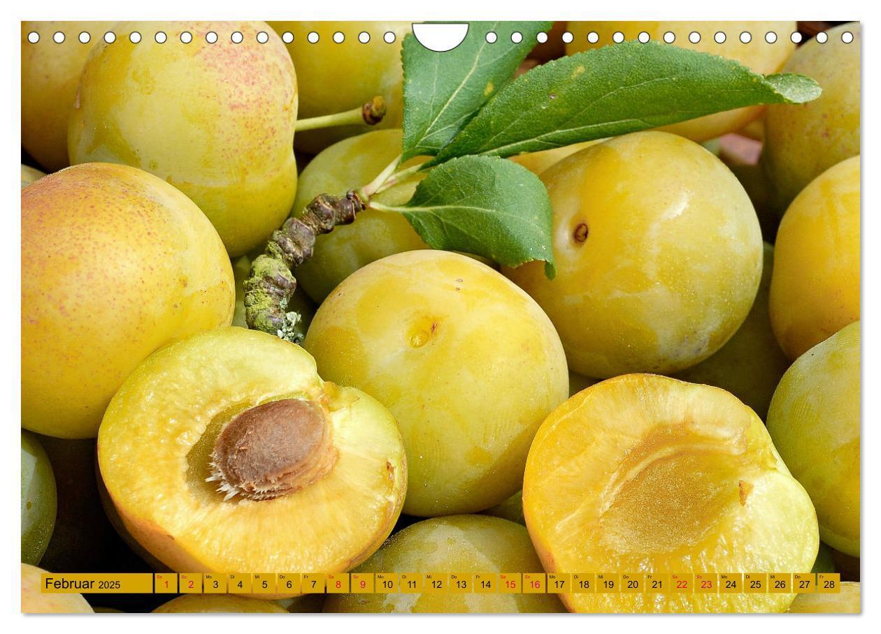 Bild: 9783383768057 | GELB - Gemüse und Obst - Sonnengereift (Wandkalender 2025 DIN A4...