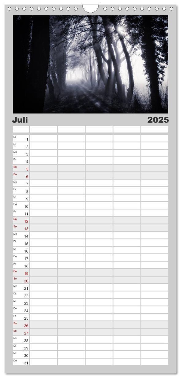 Bild: 9783457106006 | Familienplaner 2025 - Mystische Wälder mit 5 Spalten (Wandkalender,...