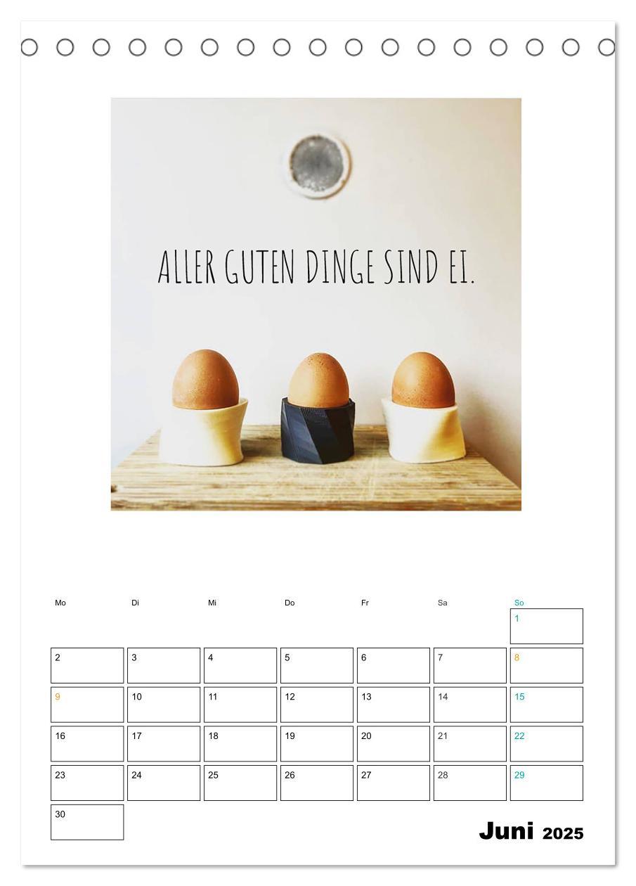 Bild: 9783435949847 | Mit Eiern durch's Jahr. (Tischkalender 2025 DIN A5 hoch), CALVENDO...