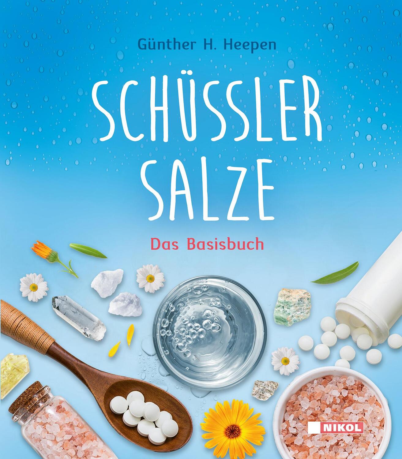 Cover: 9783868206982 | Schüßler-Salze | Das Basisbuch | Günther H. Heepen | Buch | 128 S.