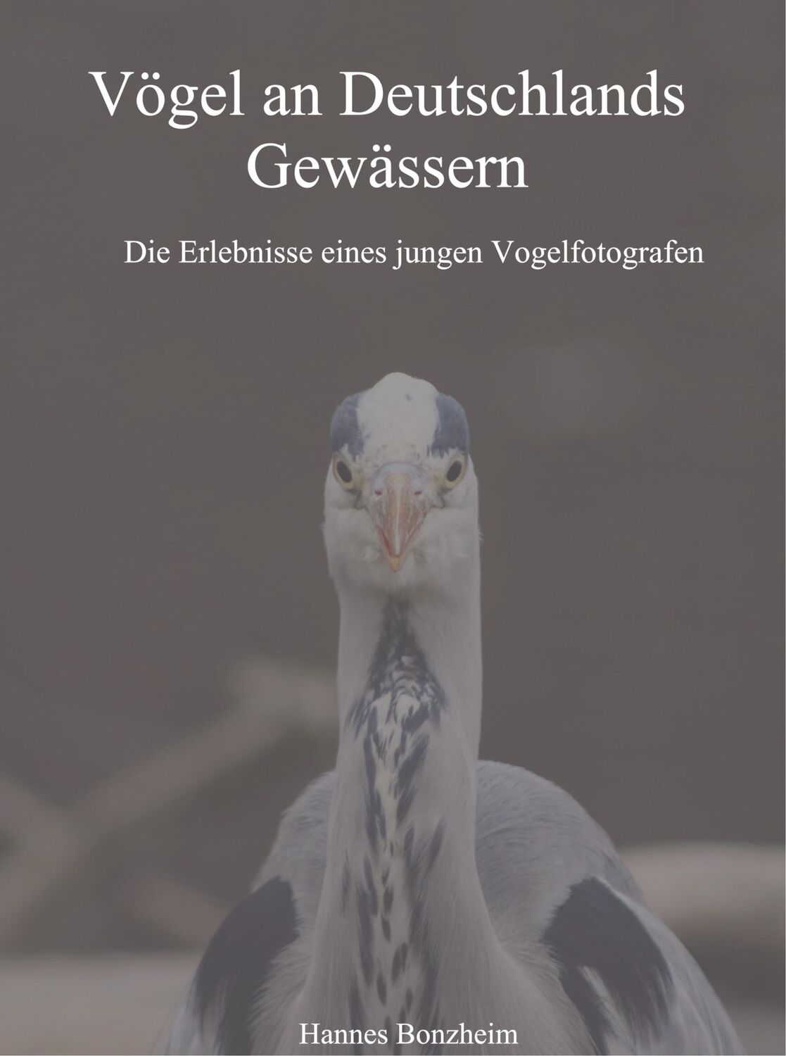 Cover: 9789463867467 | Vögel an Deutschlands Gewässern | Hannes Bonzheim | Buch | 68 S.