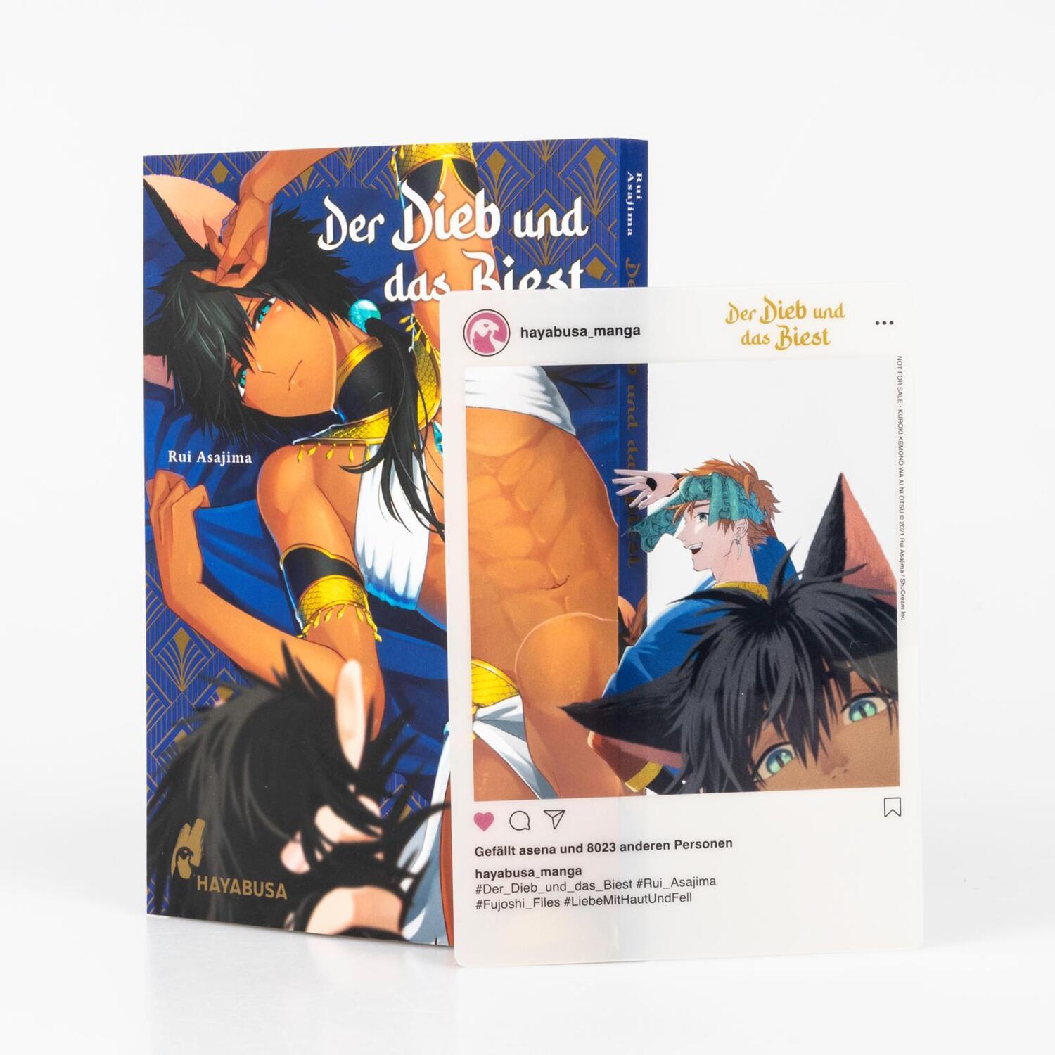 Bild: 9783551623942 | Der Dieb und das Biest | Rui Asajima | Taschenbuch | Hayabusa | 194 S.