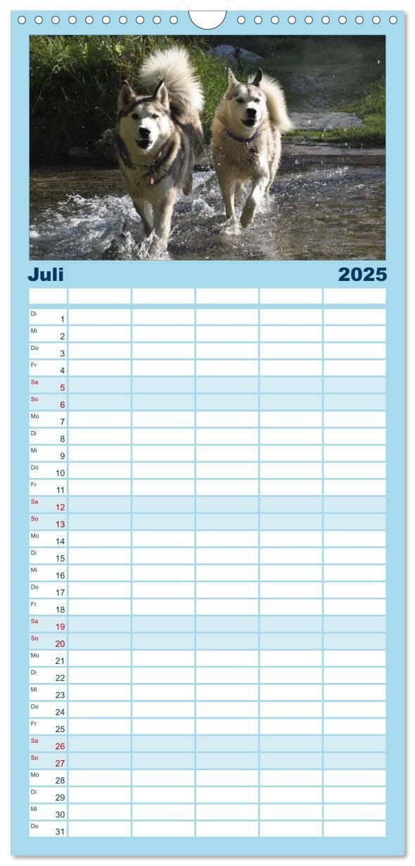 Bild: 9783457113264 | Familienplaner 2025 - Husky-Kalender mit 5 Spalten (Wandkalender,...